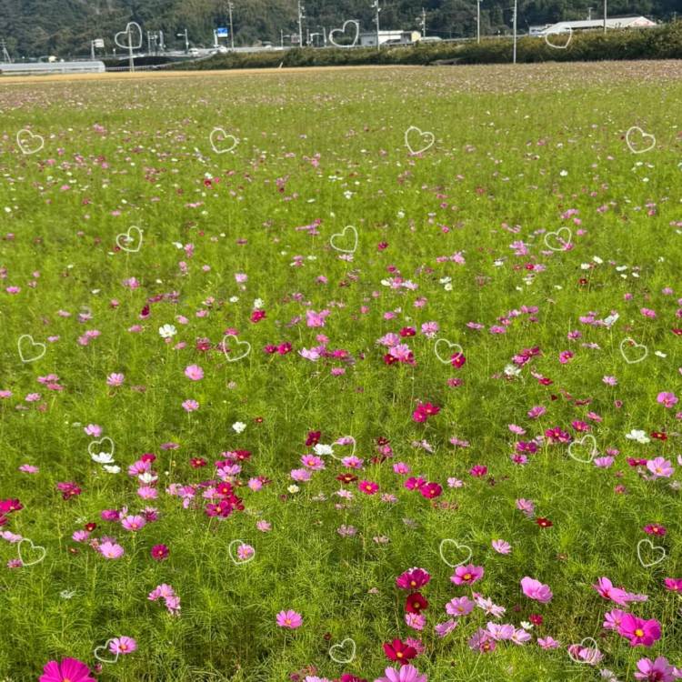 あっためあいましょ♡