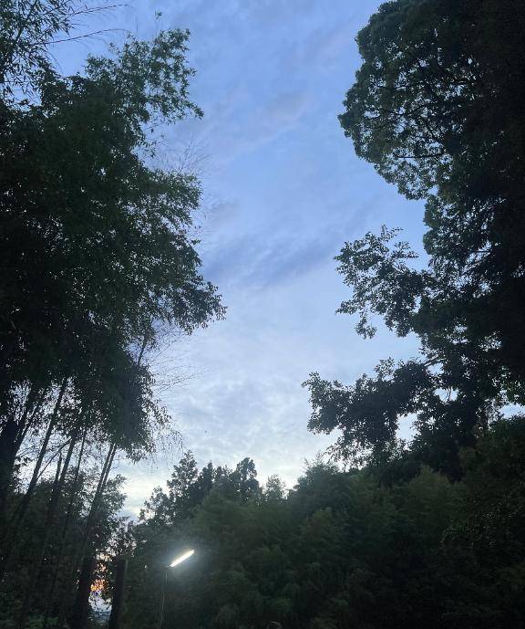 明け方♡