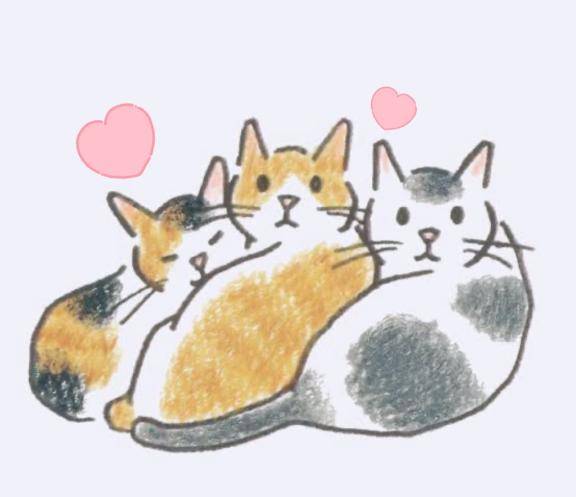 2週間ぶりに🤍🤍