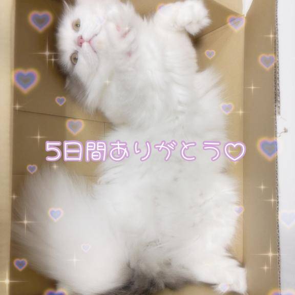 5日間ありがとうございました☺️︎💕︎︎