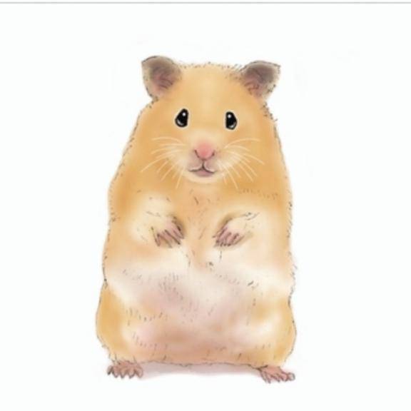めぐみ