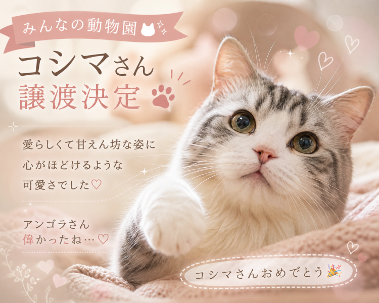 思わずうるっと…胸がじんわり