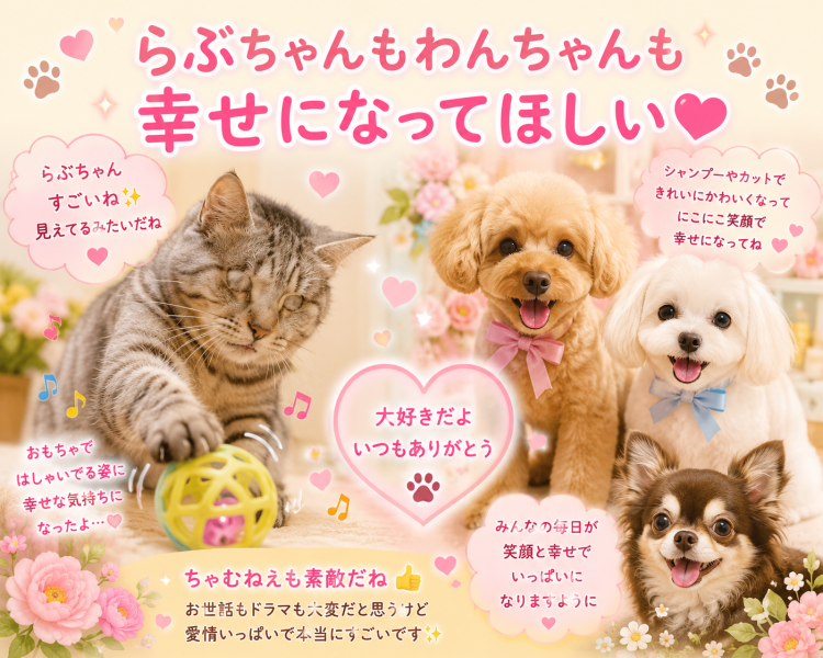 らぶちゃんもわんちゃんも幸せになって欲しい✨🍀