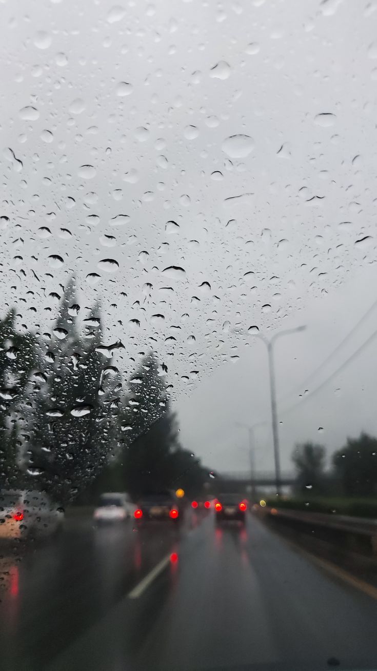 天気予報より早い、私の鼻センサー。👃🌀
