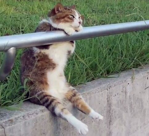 私は一人でぶらぶら派✨