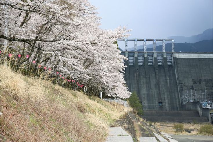 雨が降ると、まずダムが気になる。