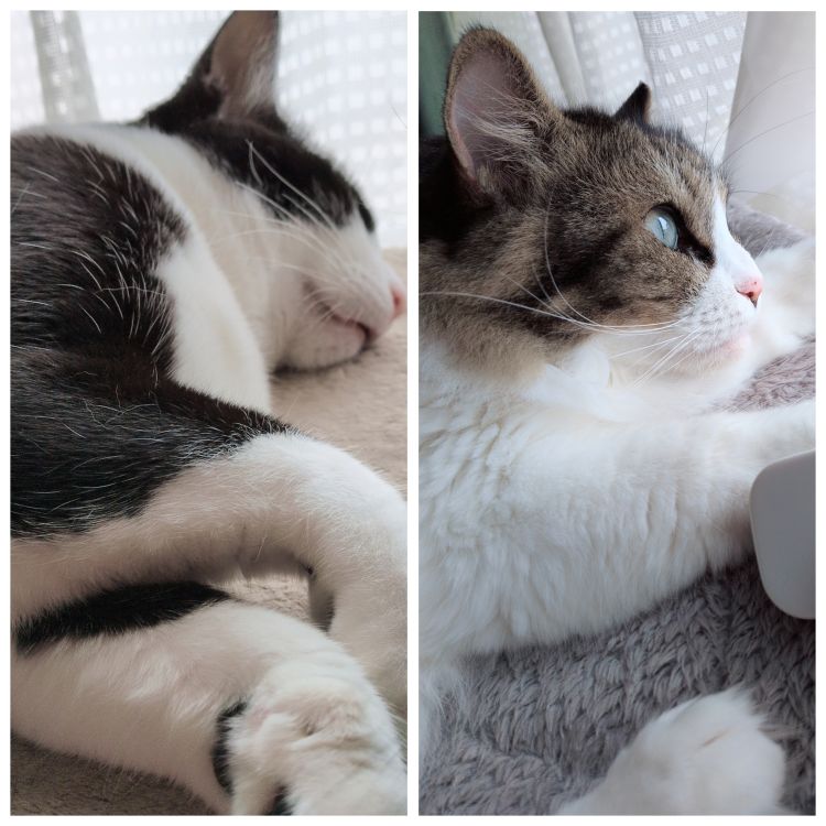 今日も、ほっこり