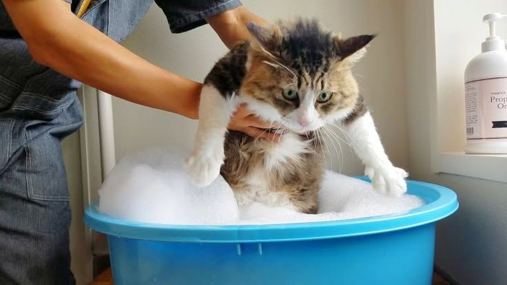 母の気分予報は変わりやすい☁️