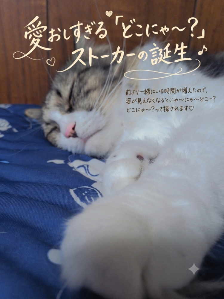 可愛すぎるストーカー♡