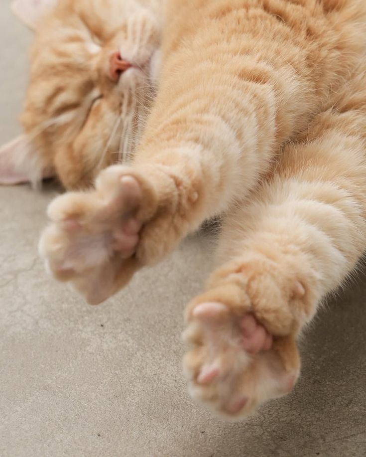 今日は、全部オフ。