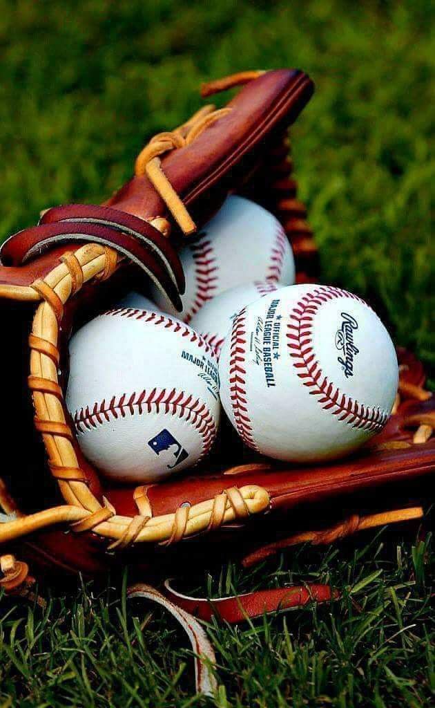 野球用語も見直しの時代⁉️⚾️