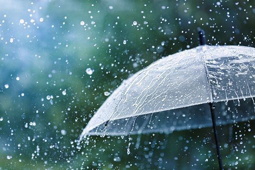 恵みの雨となりますように☔️