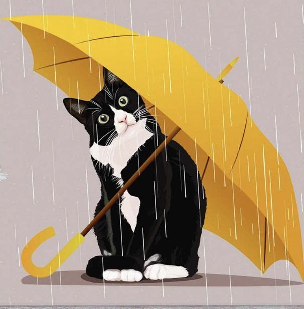 雨さん、そろそろ本気をお願いします☔