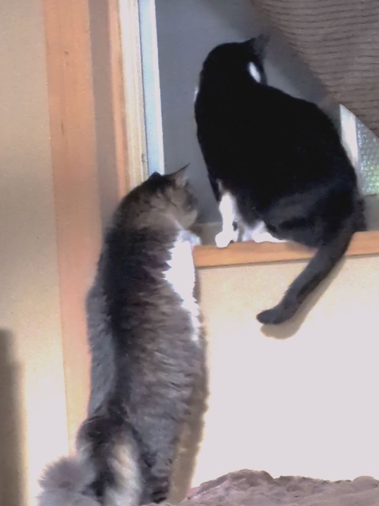 仲良し♡