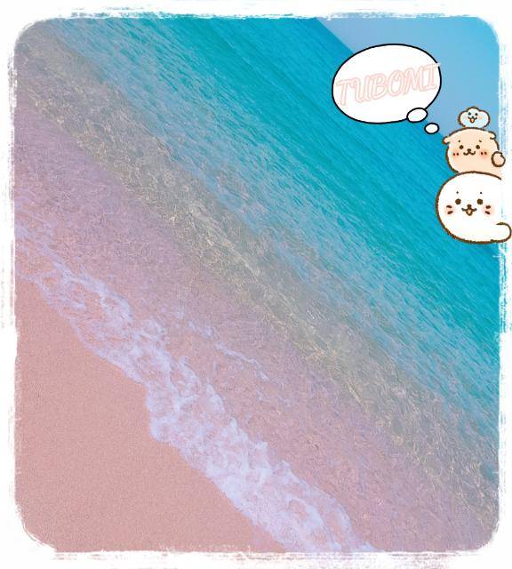 『つぼみ』★松山本店★