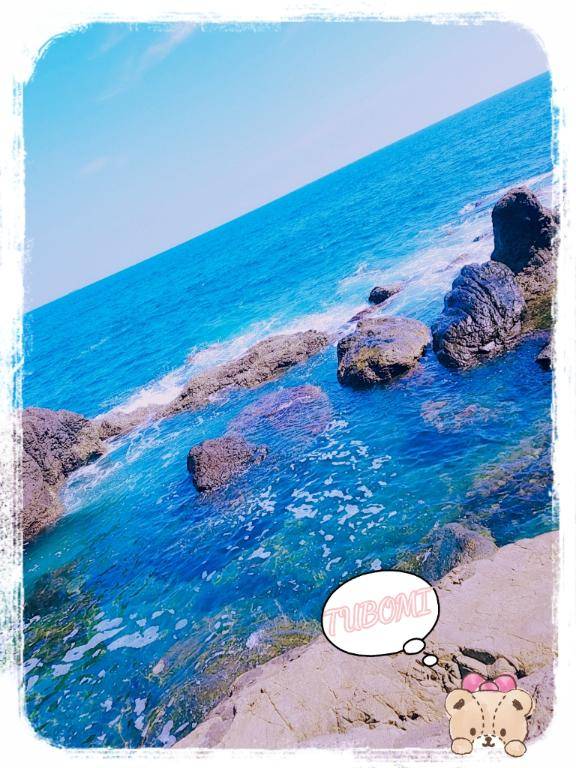 『つぼみ』★松山本店★