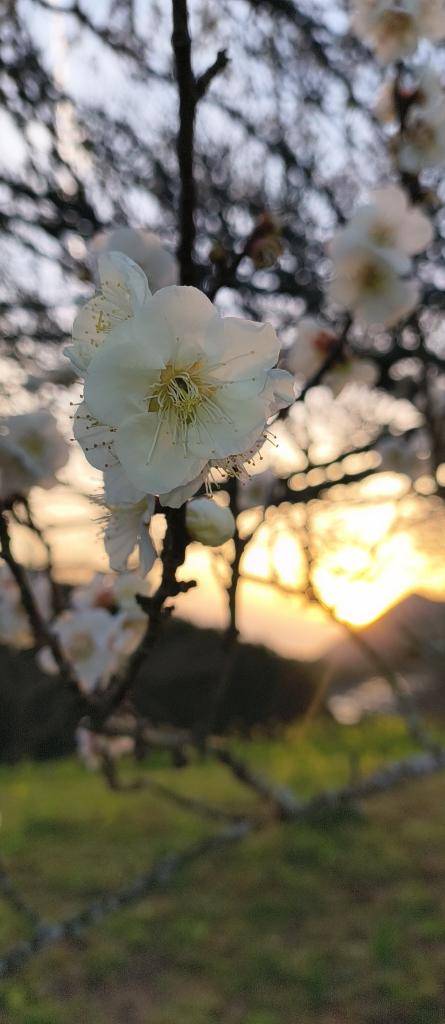 16or17までおやすみ～