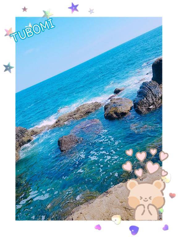 『つぼみ』★松山本店★