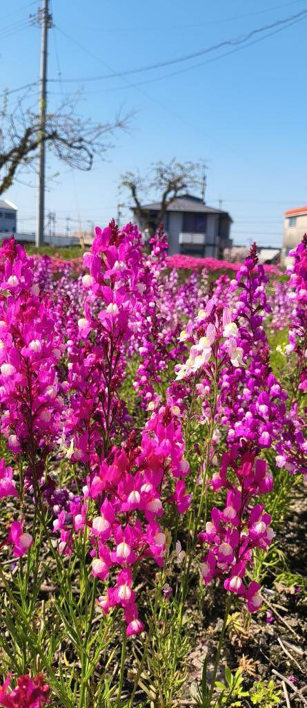 『みな』★松山本店★