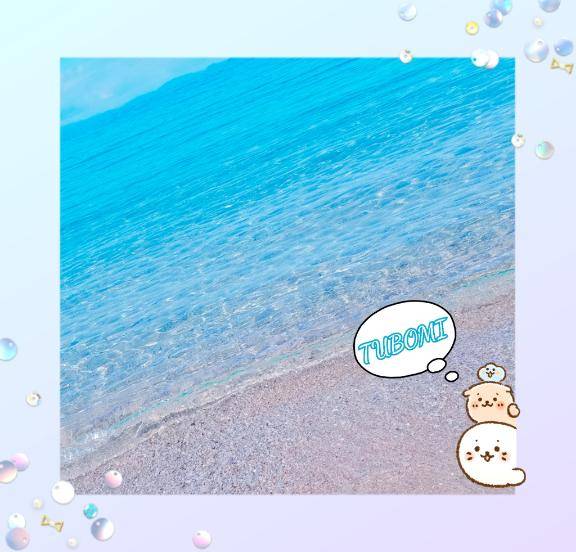 『つぼみ』★松山本店★