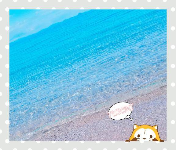 『つぼみ』★松山本店★