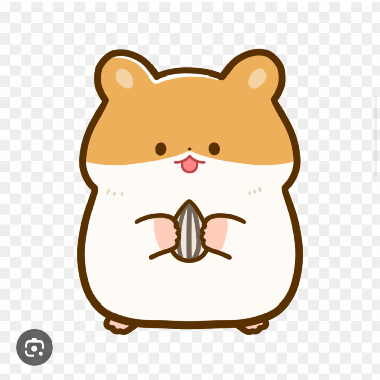 お礼日記です😊☺️