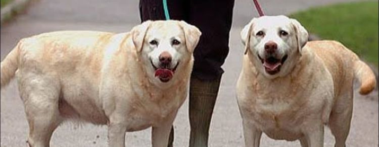 ほっこりヽ(=´▽`=)ﾉ