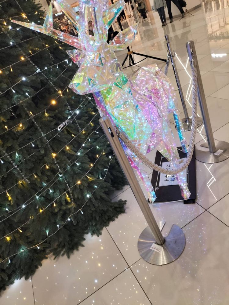 皆様おはようございます♡