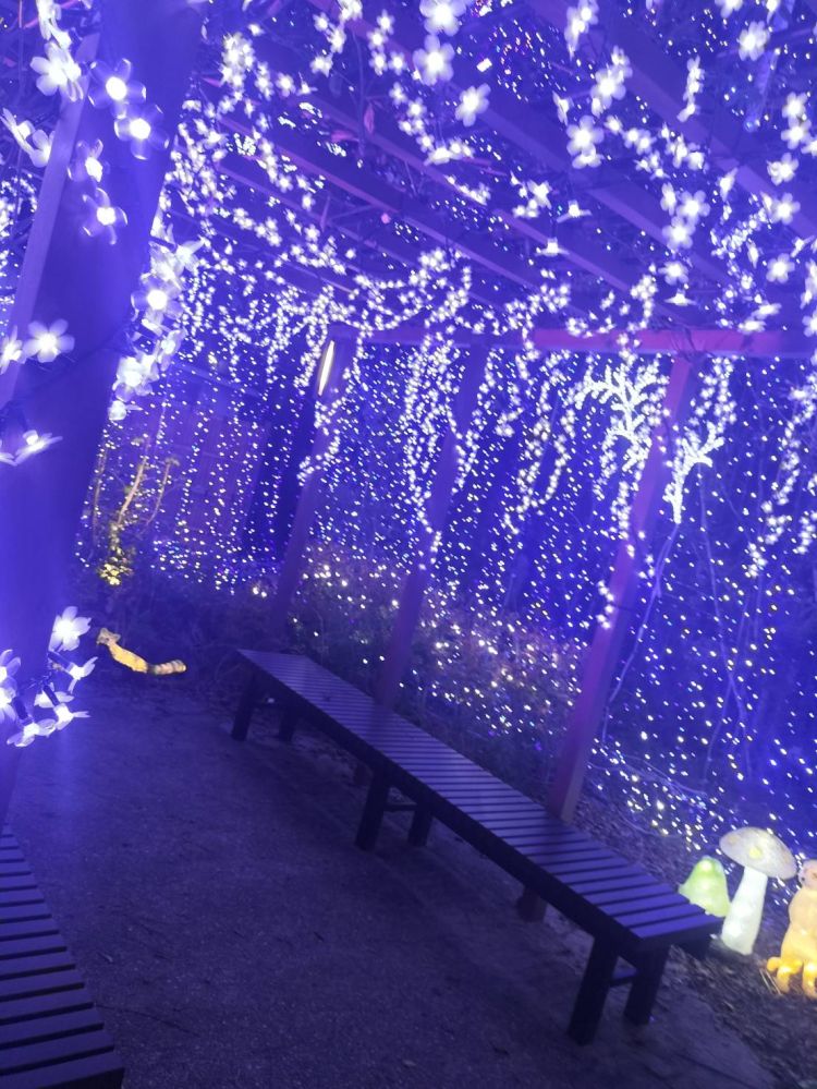 皆様お疲れ様です♡次回イベント日宜しくお願い致します