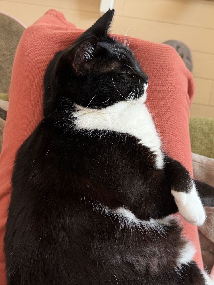 ☆リクエスト出勤日時受付中 (お店に希望日時をお伝え下さい)