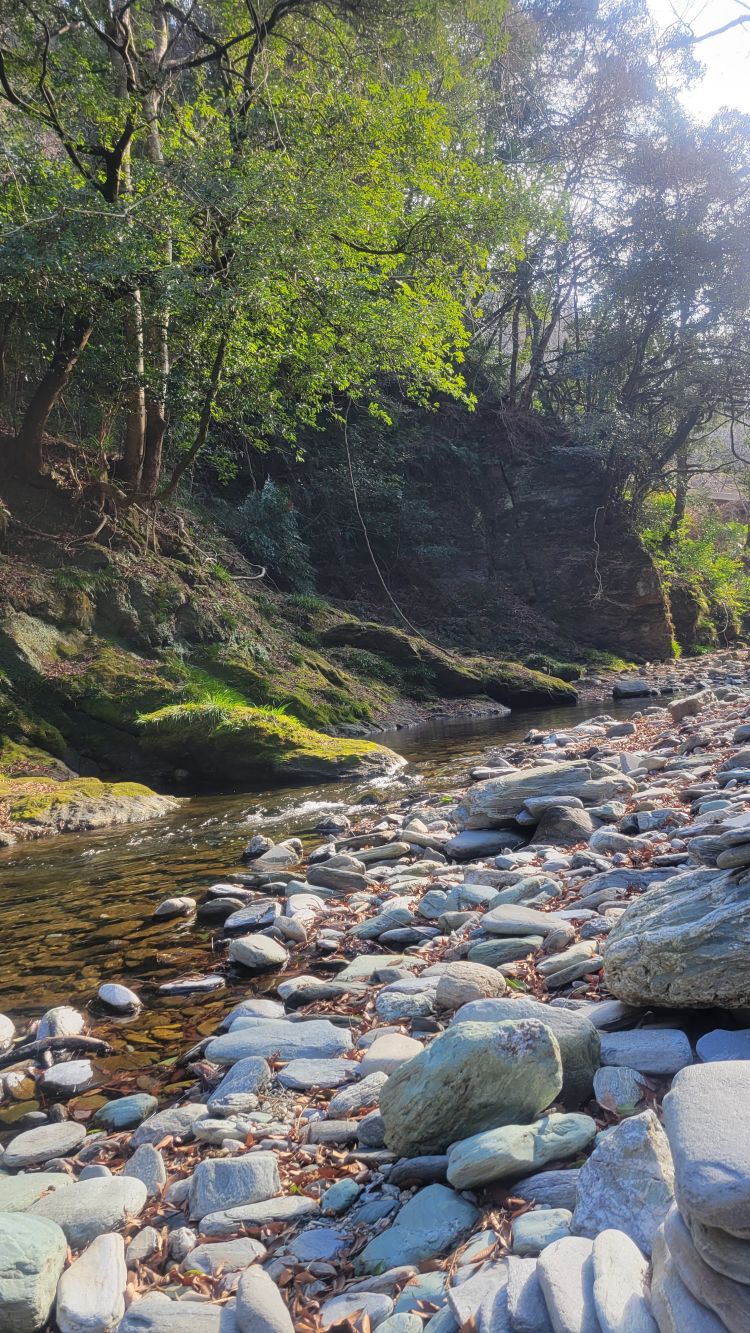 🧸🤎ありがとうございました🍫