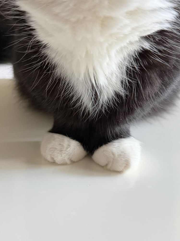 無料コスプレ♡個人オプション♡個人キャンペーン