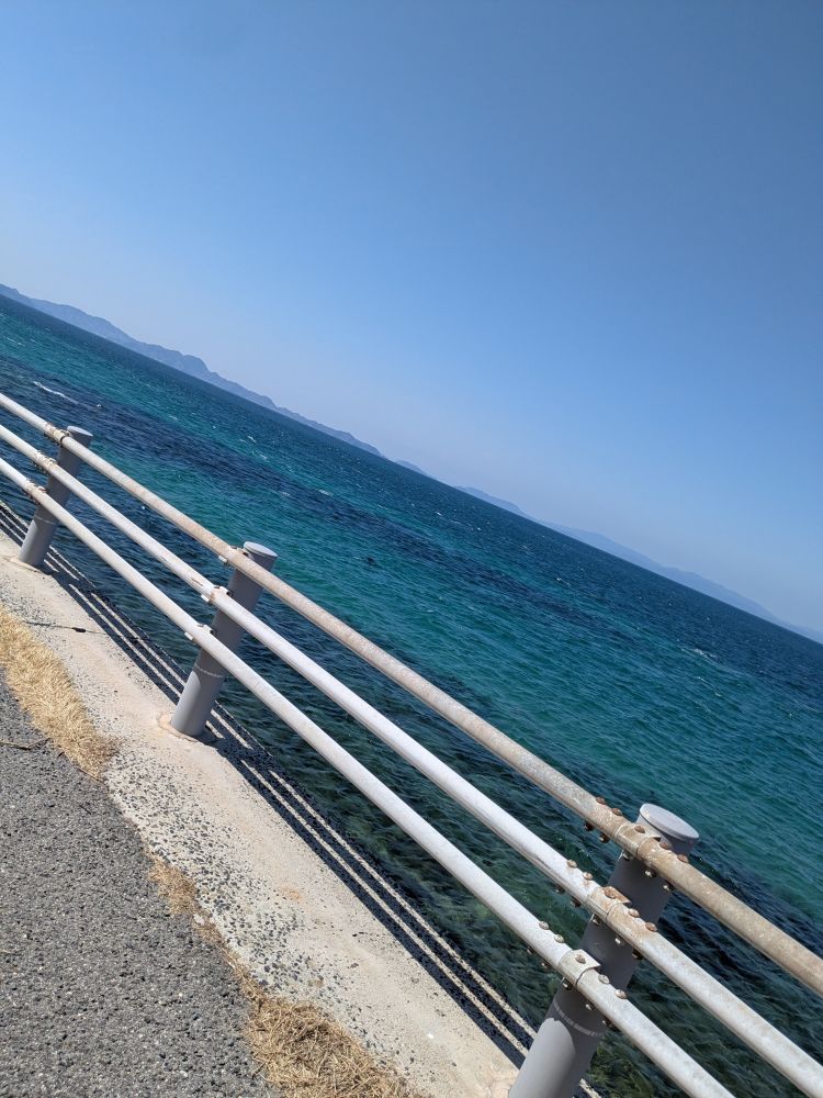 スタートから私用でバタバタしていました♡本日宜しくお願い致します