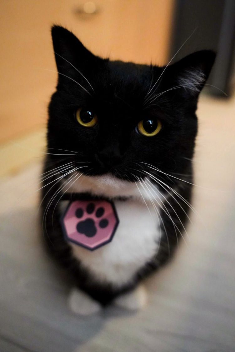 今日は何色の下着を付けてますか？