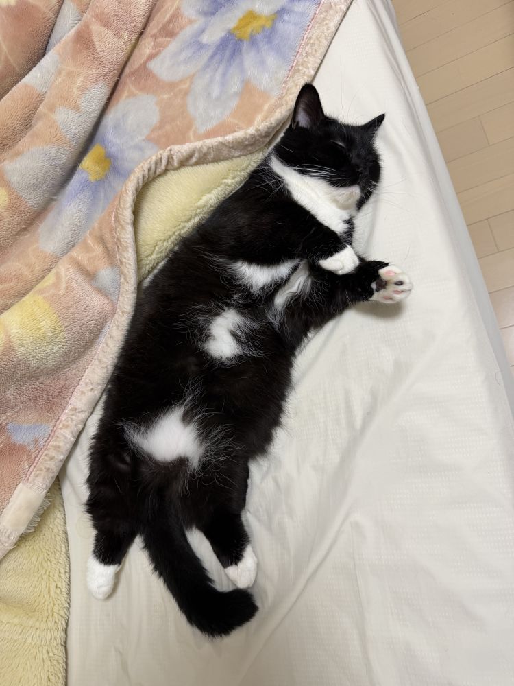 マシュマロおっぱい♡触りにきてね リクエストも受付中 事前予約がお勧めです♡