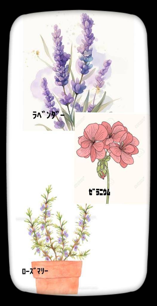 ☆ﾄﾘｾﾂ⑧?☆