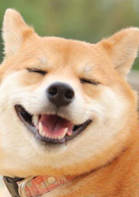 60分のお兄さん?