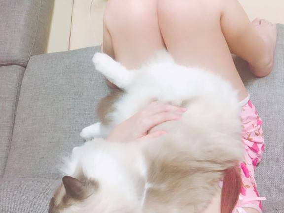 きたよお?