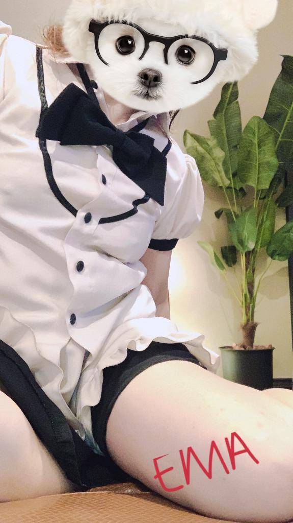 [お題]from:グミさん