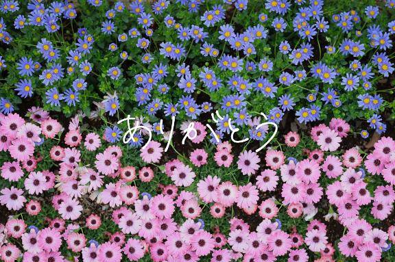 すみません。そしてありがとう??