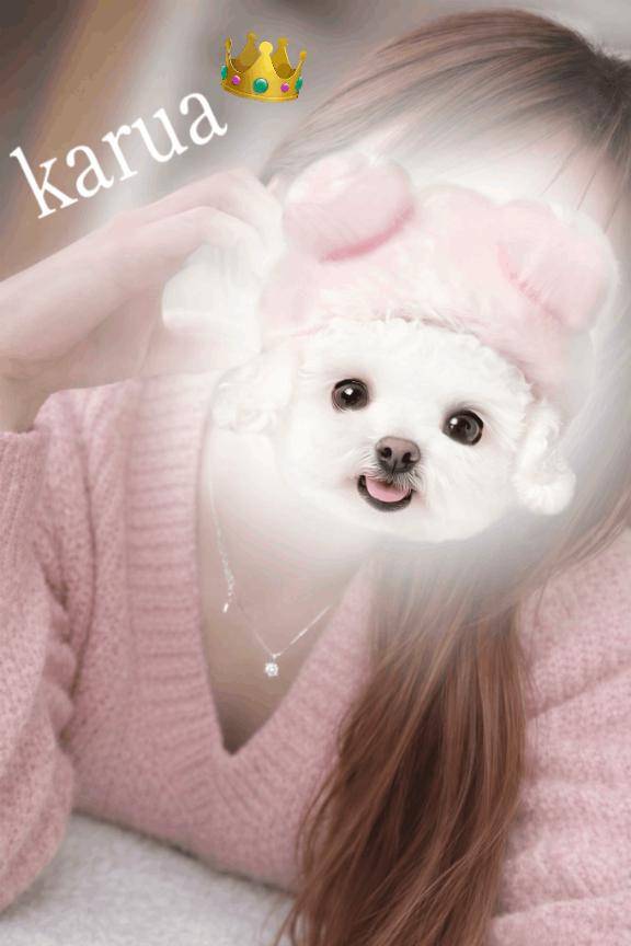 やっときたよ??