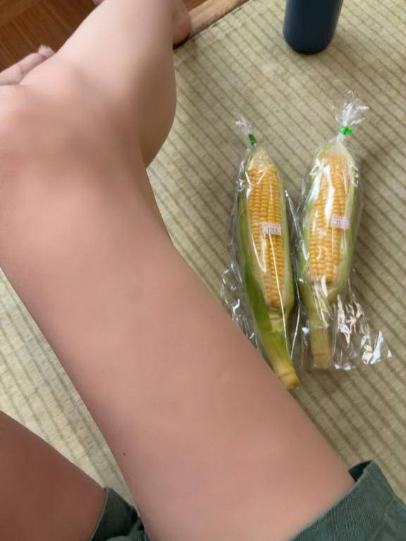 おはよー?