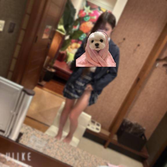 お礼❤️いただきました