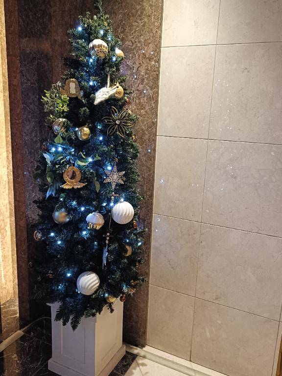 今日のありがとう🥰