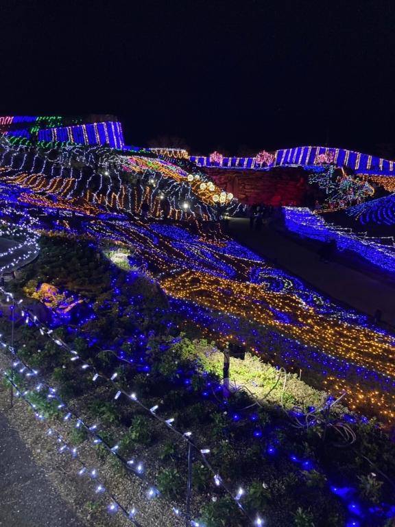 おはようございます