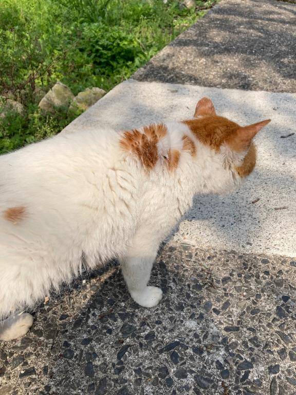 新人まりか☆業界未経験(セレブ パラダイス)