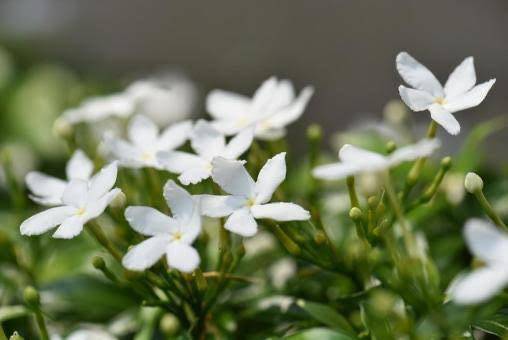 お問い合わせしてくれたお兄さん🧸💌
