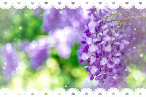 ♡ご自宅様♡