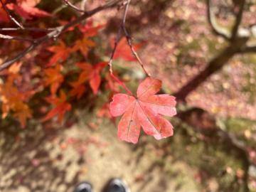 散歩にはまだ早かった、、