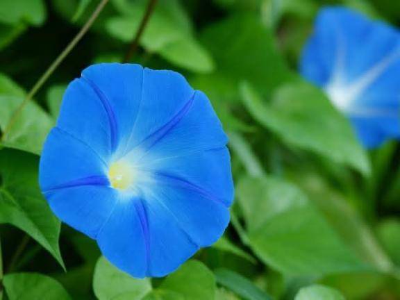 🌻したいこと🍧